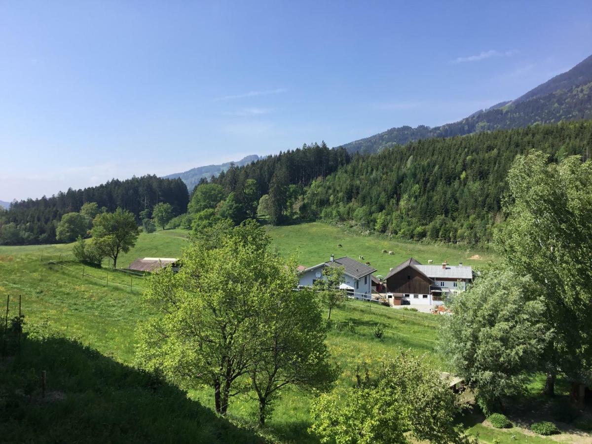 "Natur Pur" Ferienwohnung Mit Eigener Sauna Rons Exterior photo